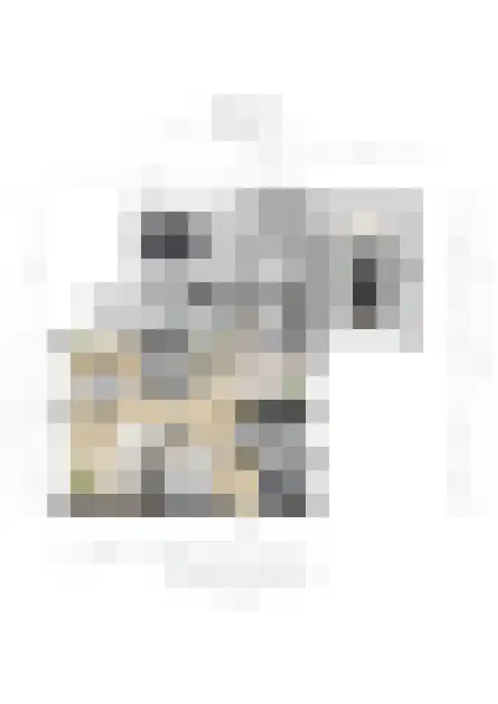 Sleeweg 10 Heijen thumbnail 77