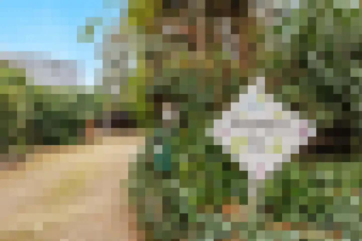 Sleeweg 23 Heijen thumbnail 39