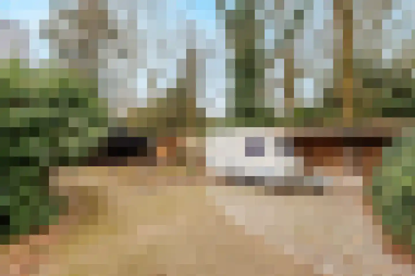 Sleeweg 23 Heijen thumbnail 41
