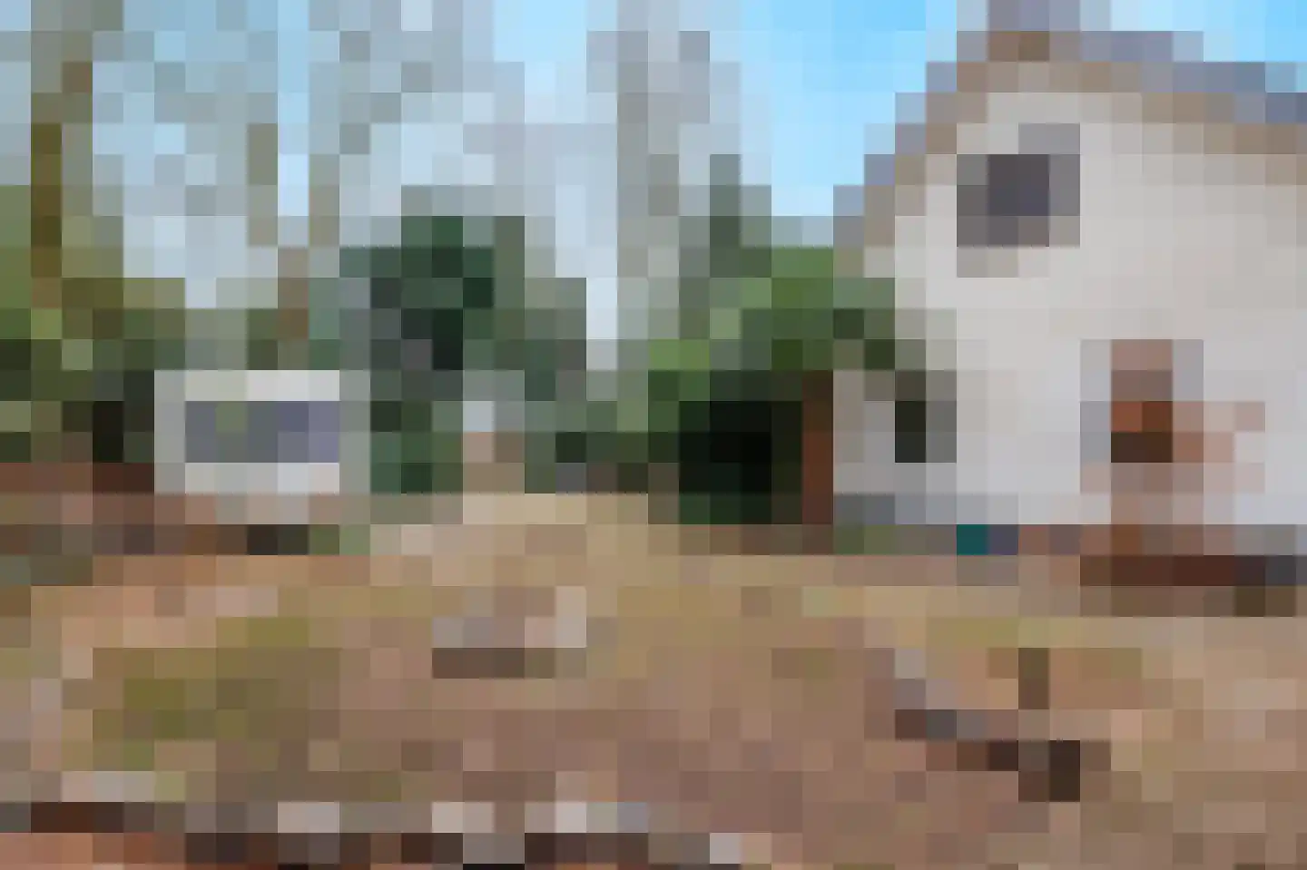 Sleeweg 23 Heijen thumbnail 49