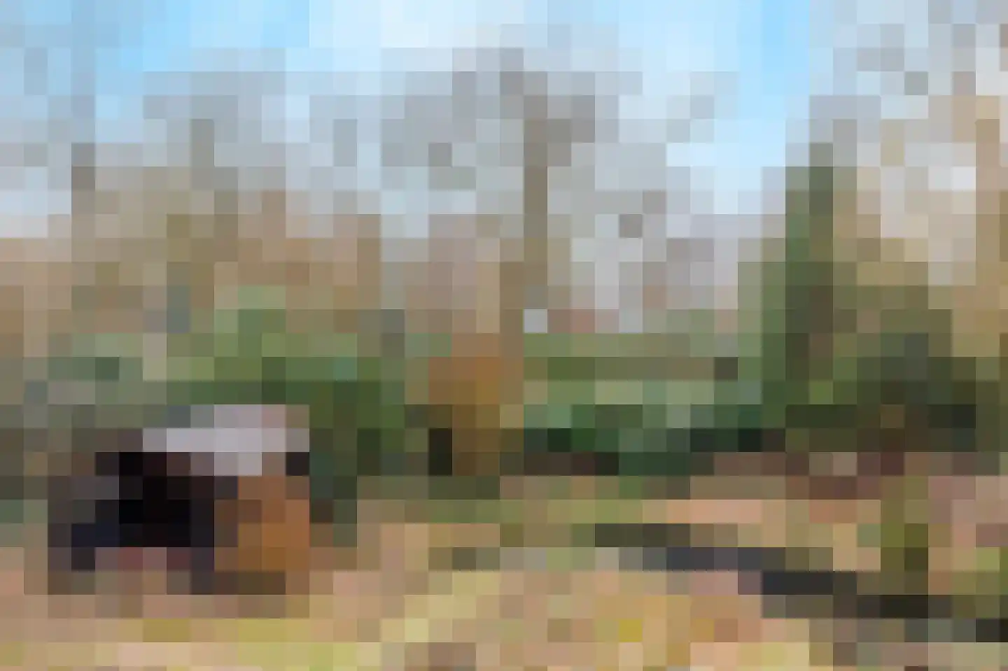 Sleeweg 23 Heijen thumbnail 55