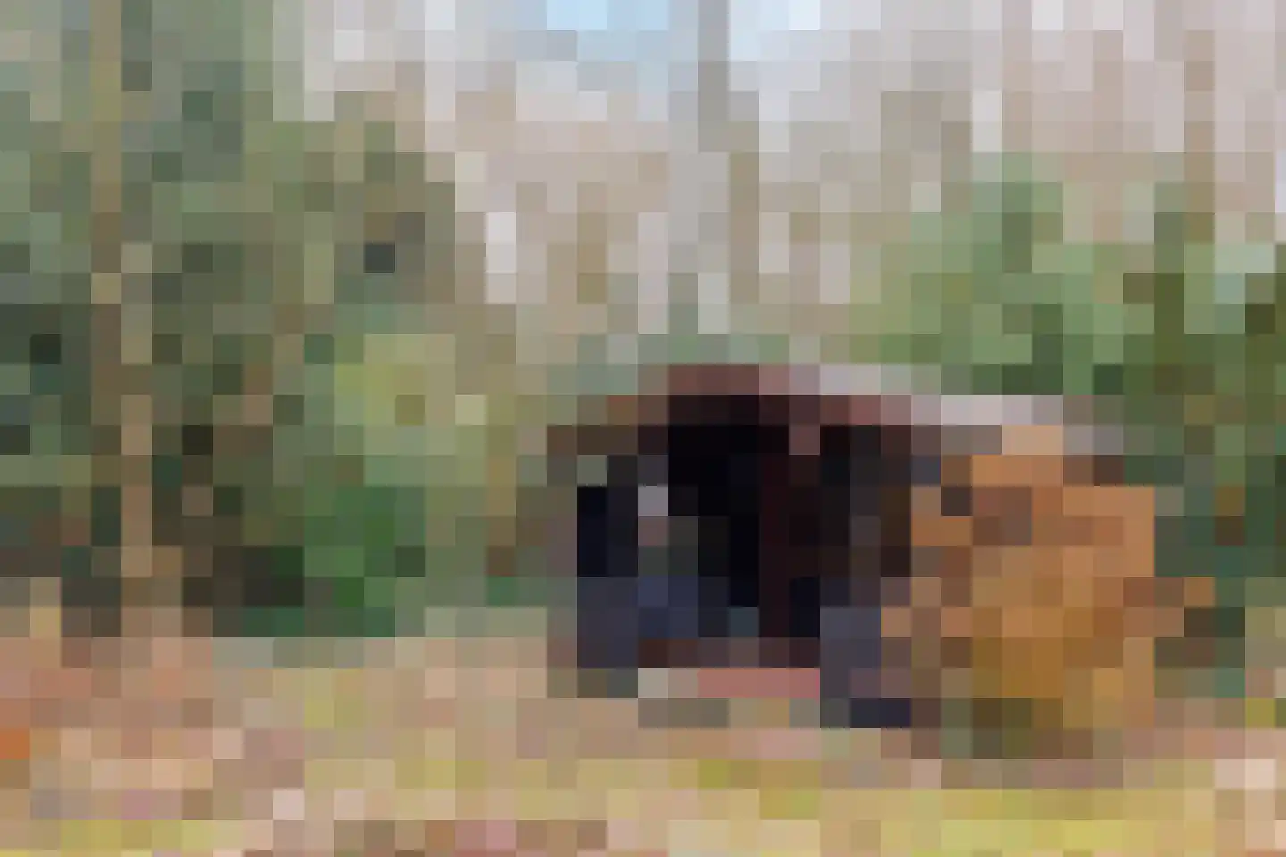 Sleeweg 23 Heijen thumbnail 59