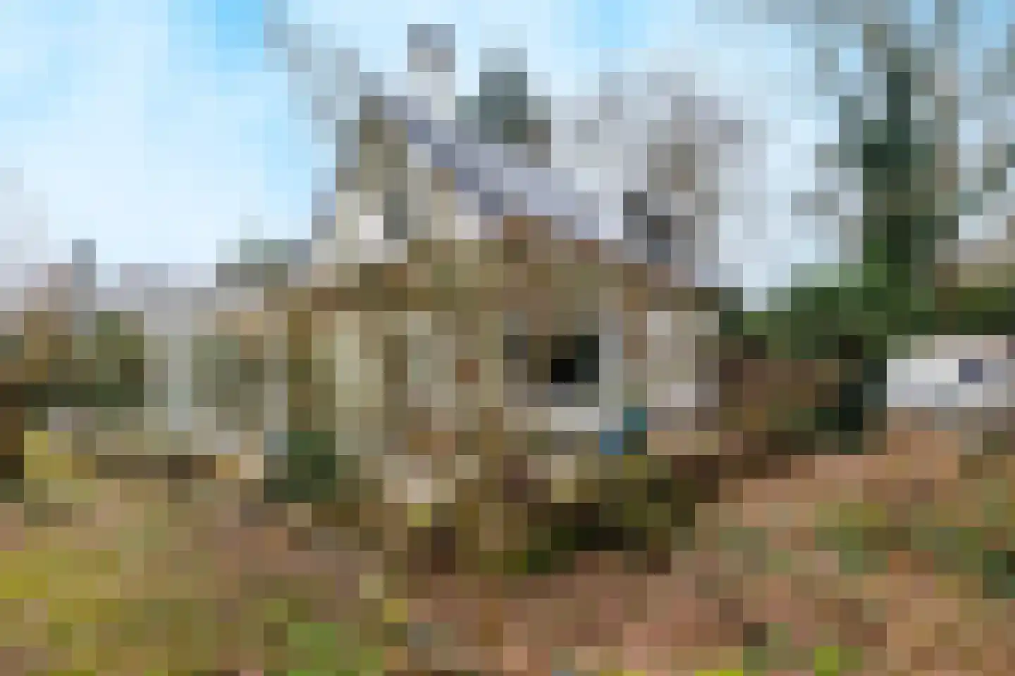 Sleeweg 23 Heijen thumbnail 64
