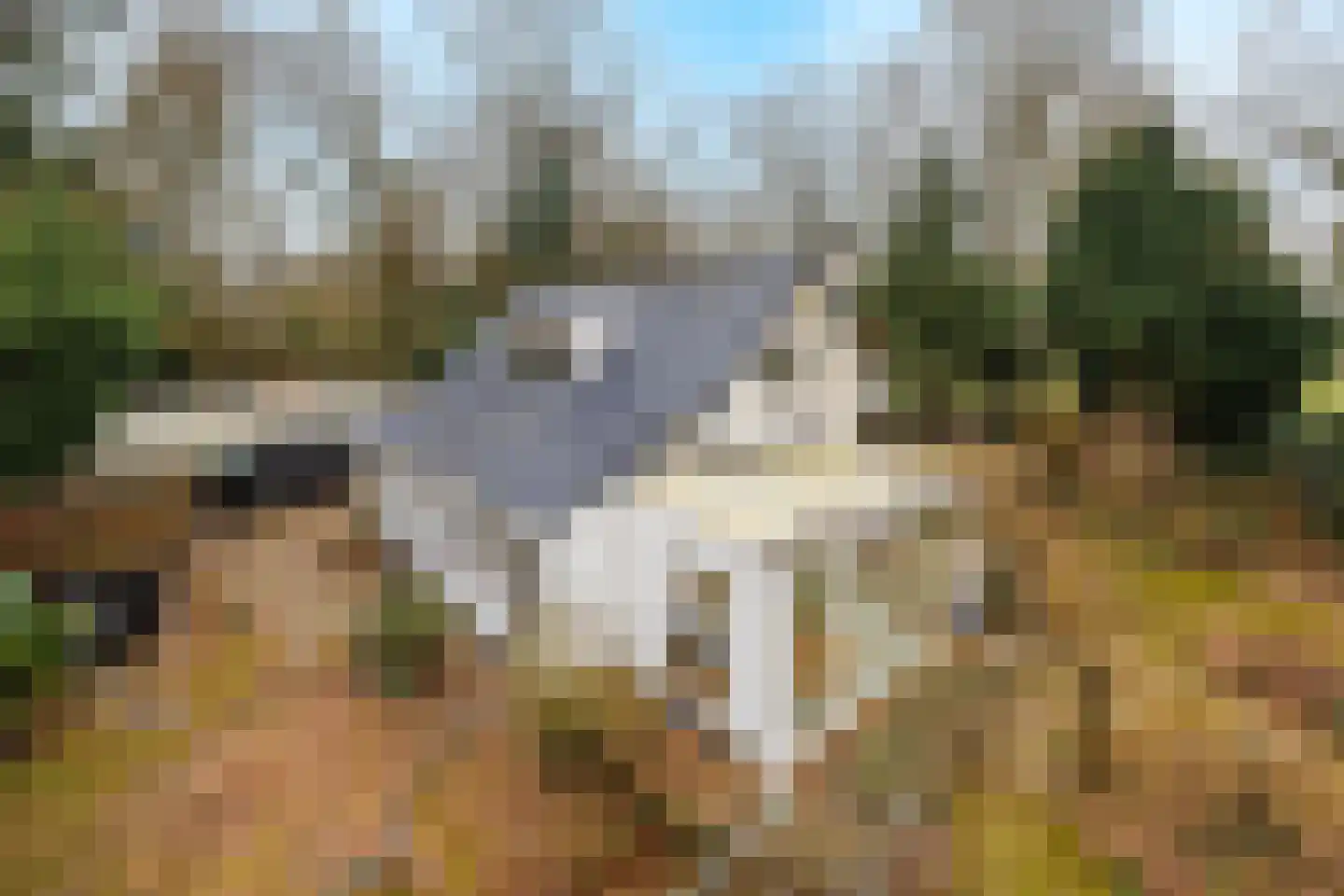 Sleeweg 23 Heijen thumbnail 72
