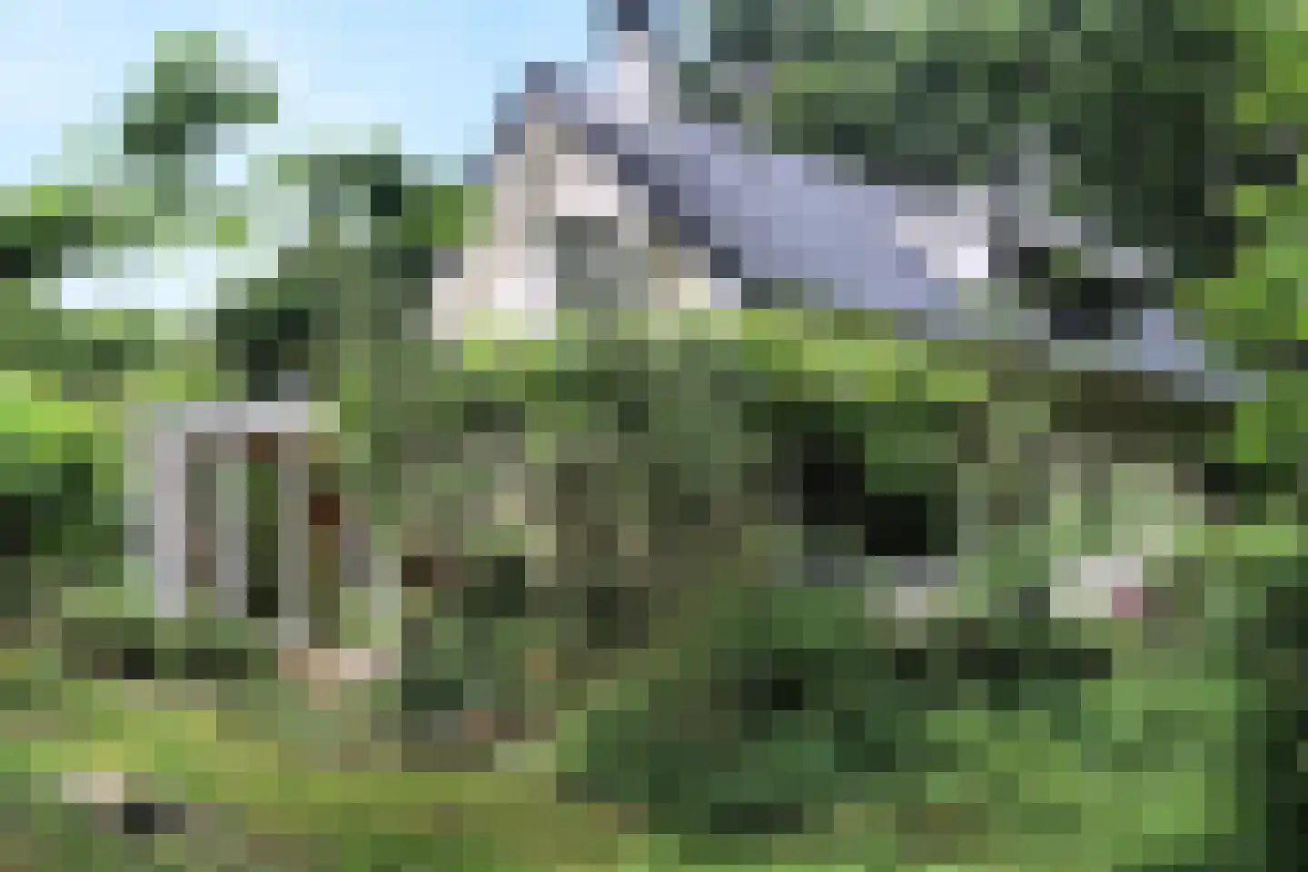 Sleeweg 23 Heijen thumbnail 73