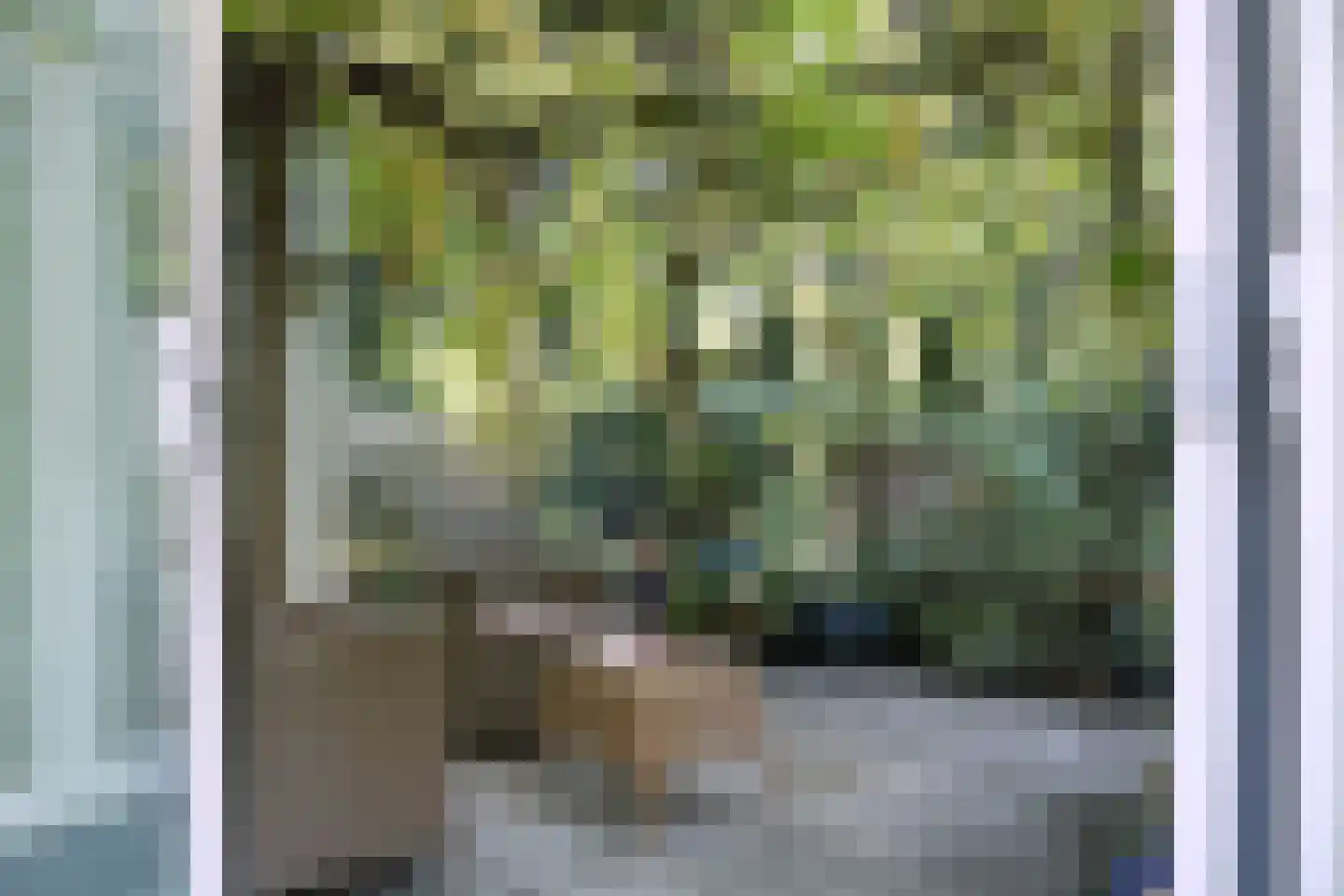 Sleeweg 23 Heijen thumbnail 74