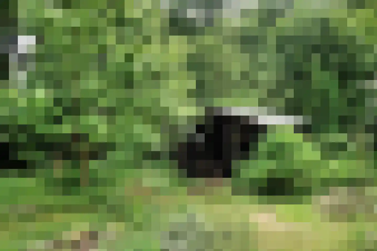 Sleeweg 23 Heijen thumbnail 75