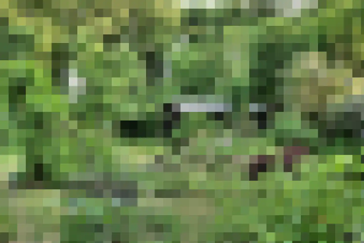 Sleeweg 23 Heijen thumbnail 76