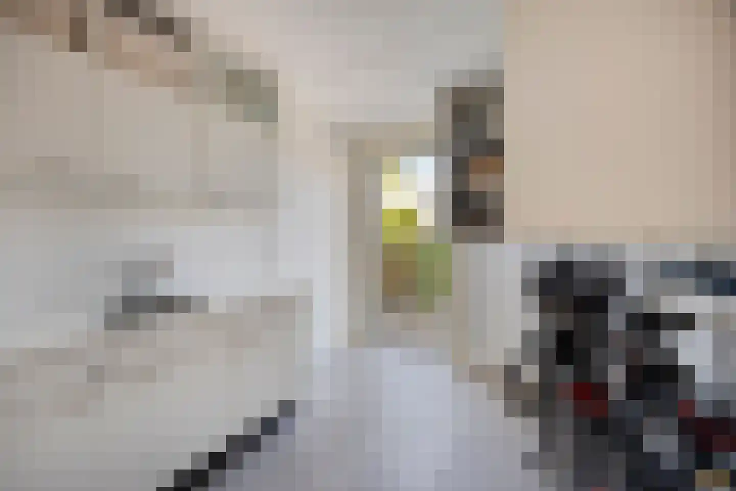 Sleewerk 10 Eindhoven thumbnail 35
