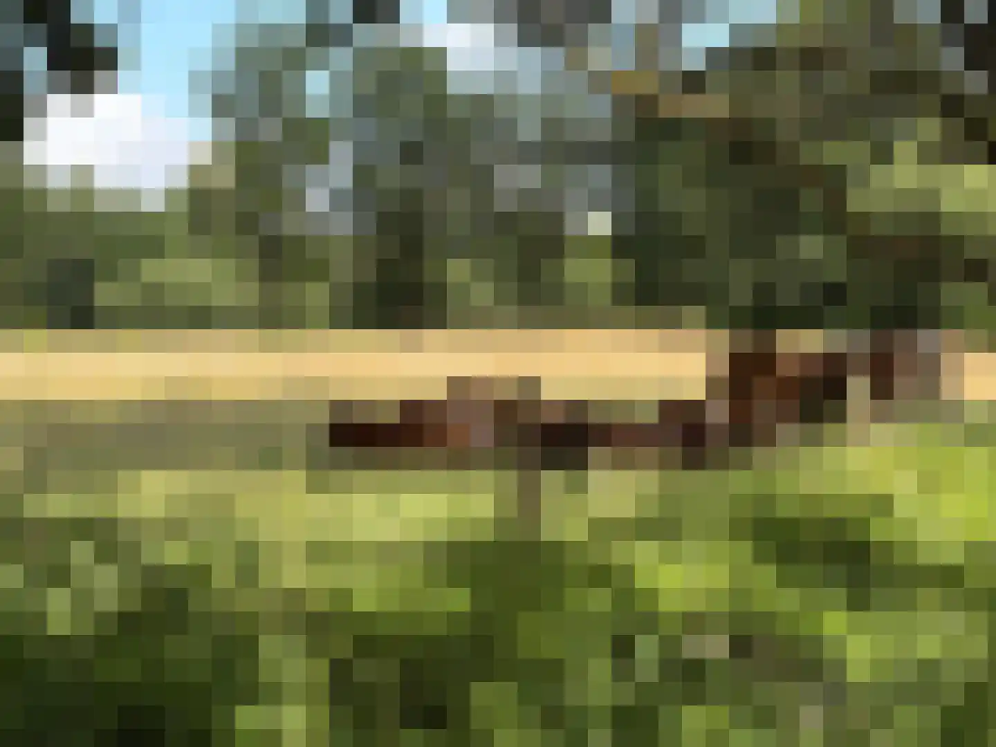 Sleewerk 10 Eindhoven thumbnail 5