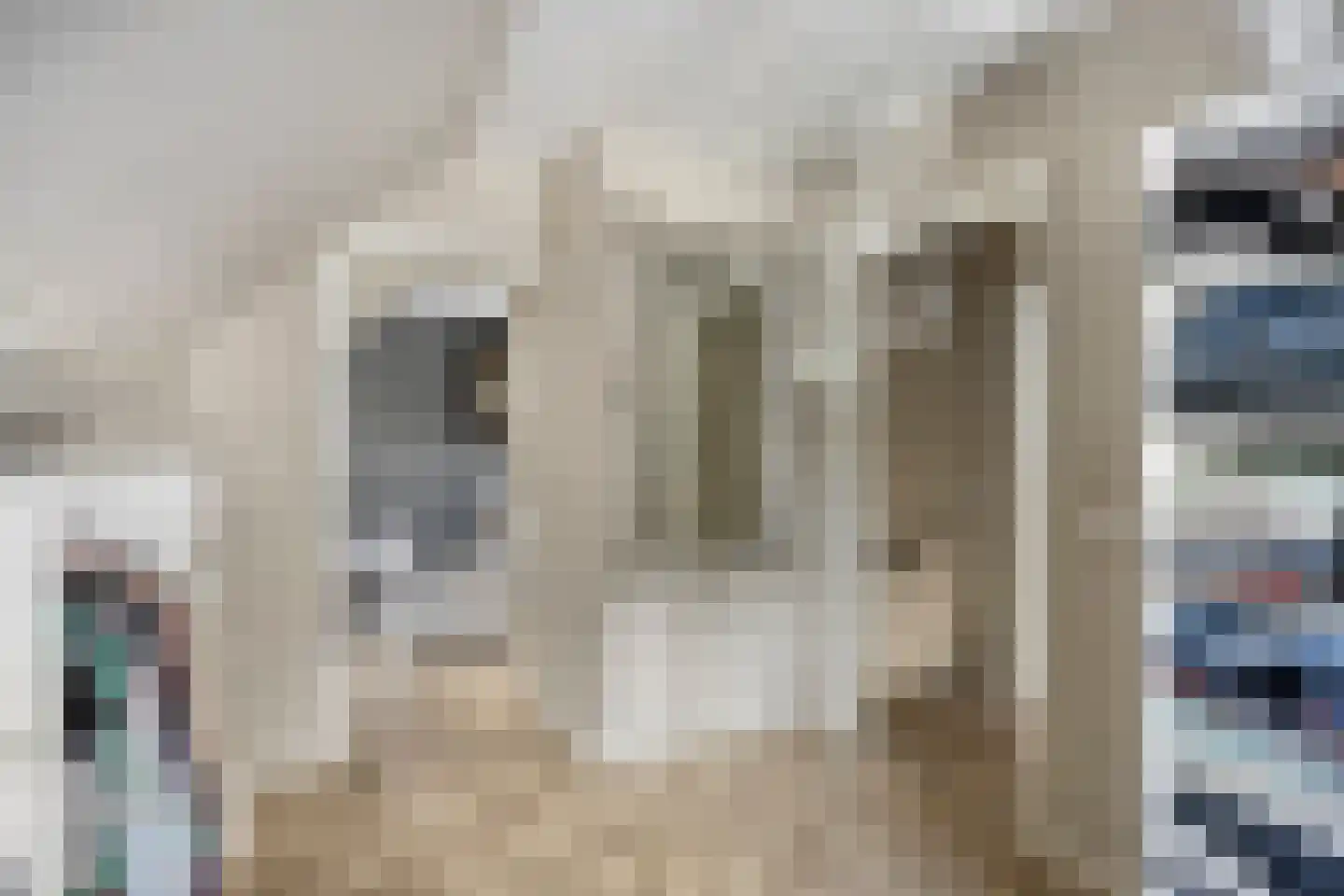 Slegersstraat 24 Helmond thumbnail 37