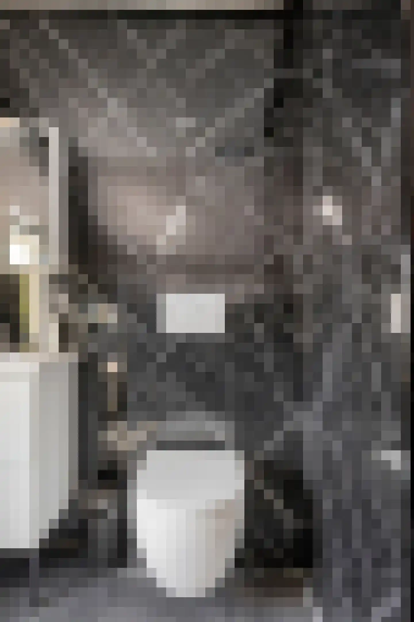 Slegersstraat 24 Helmond thumbnail 43