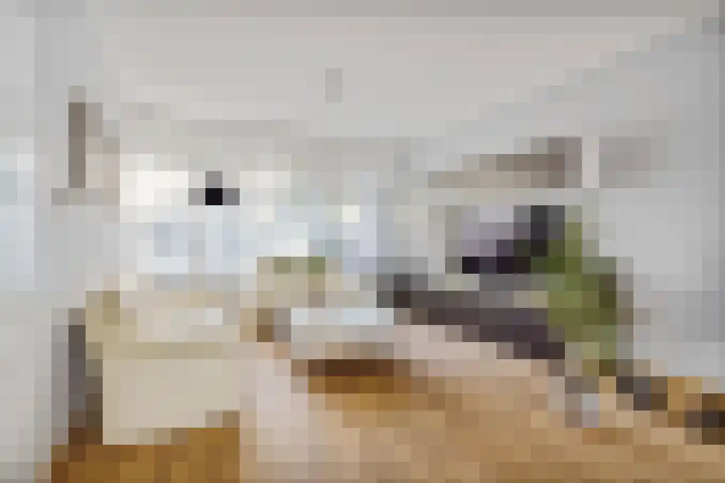Sleggeplantsoen 21 Arnhem thumbnail 4
