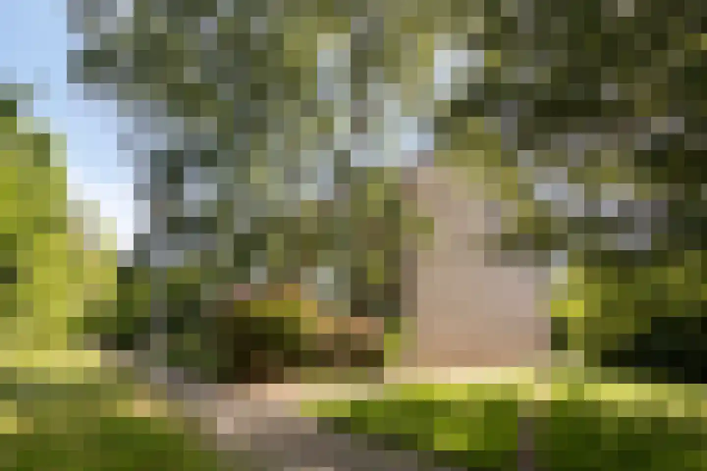 Sleggeplantsoen 42 Arnhem thumbnail 29