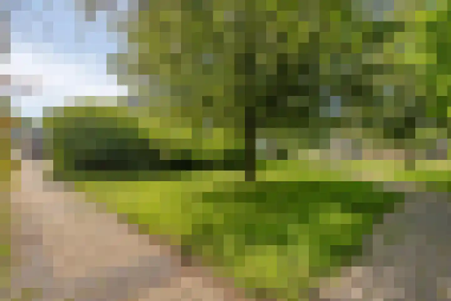 Sleggeplantsoen 42 Arnhem thumbnail 30
