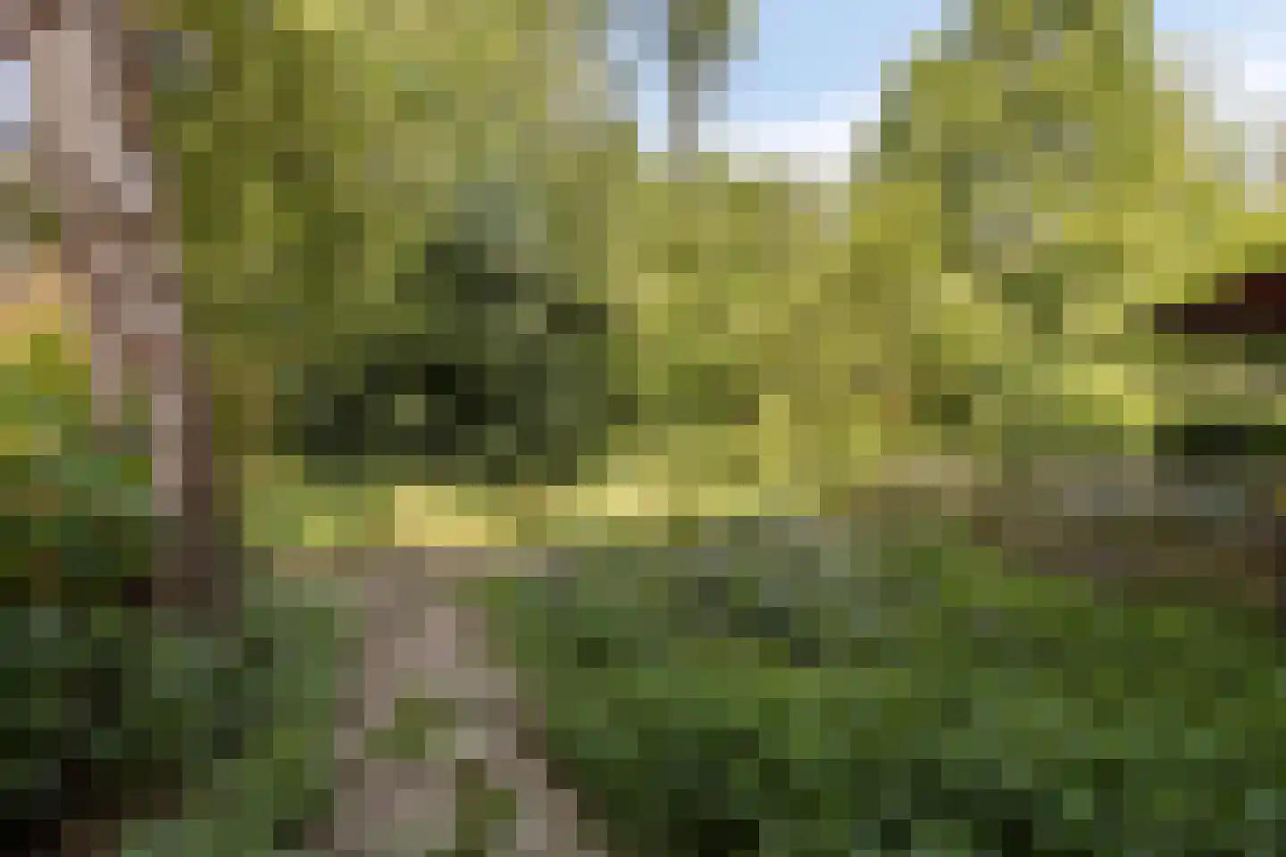 Sleggeplantsoen 42 Arnhem thumbnail 32