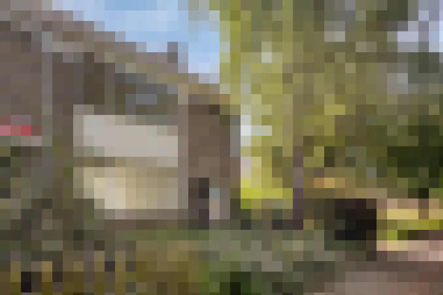 Sleggeplantsoen 42 Arnhem thumbnail 34