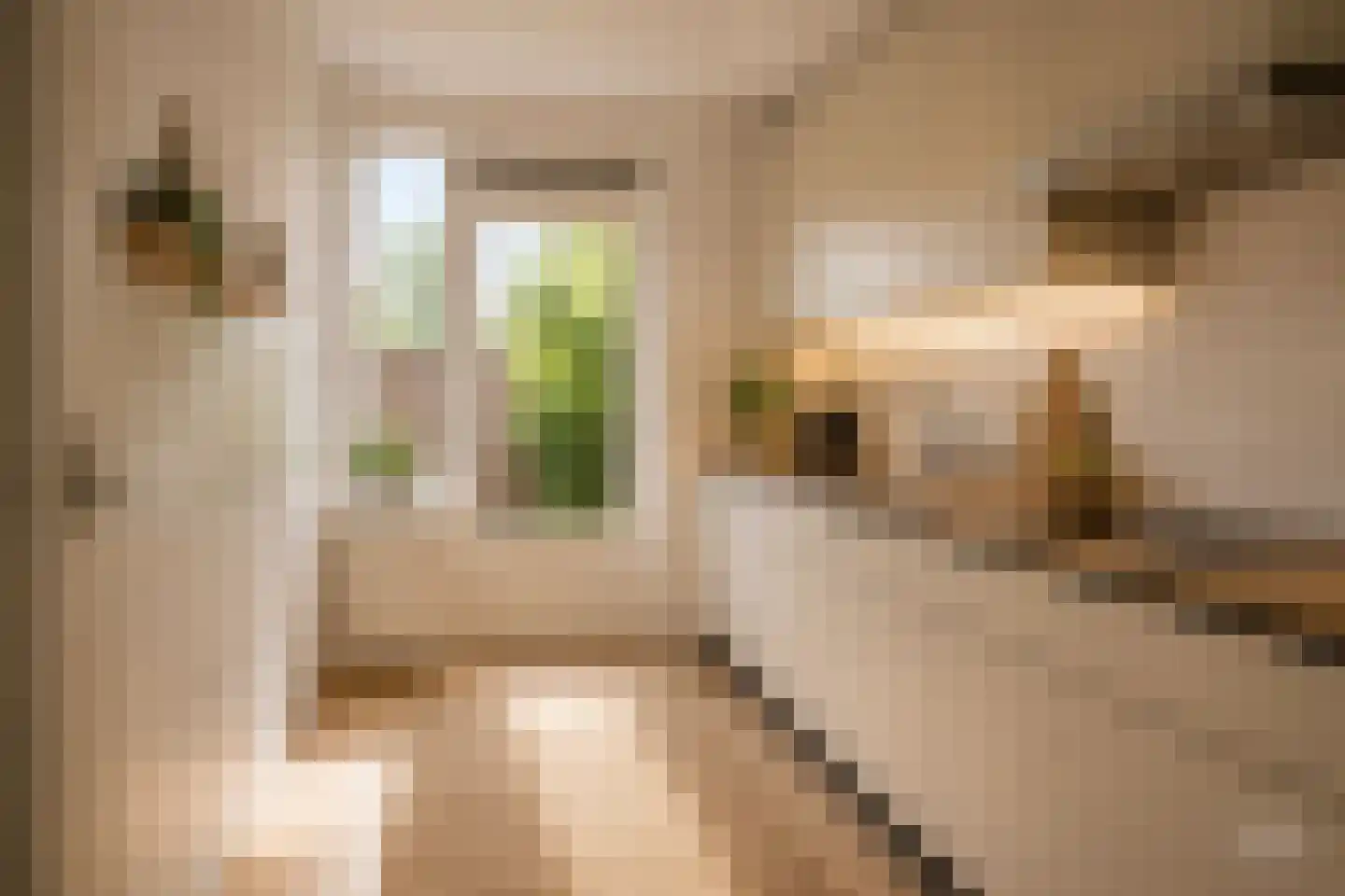 Sleggeplantsoen 42 Arnhem thumbnail 4