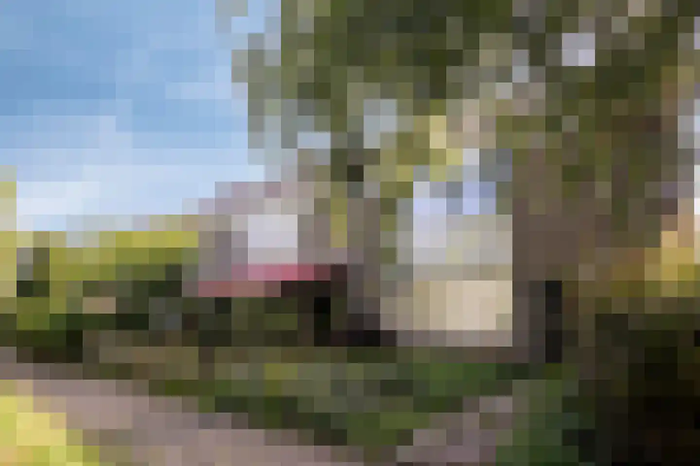 Sleggeplantsoen 42 Arnhem thumbnail 6