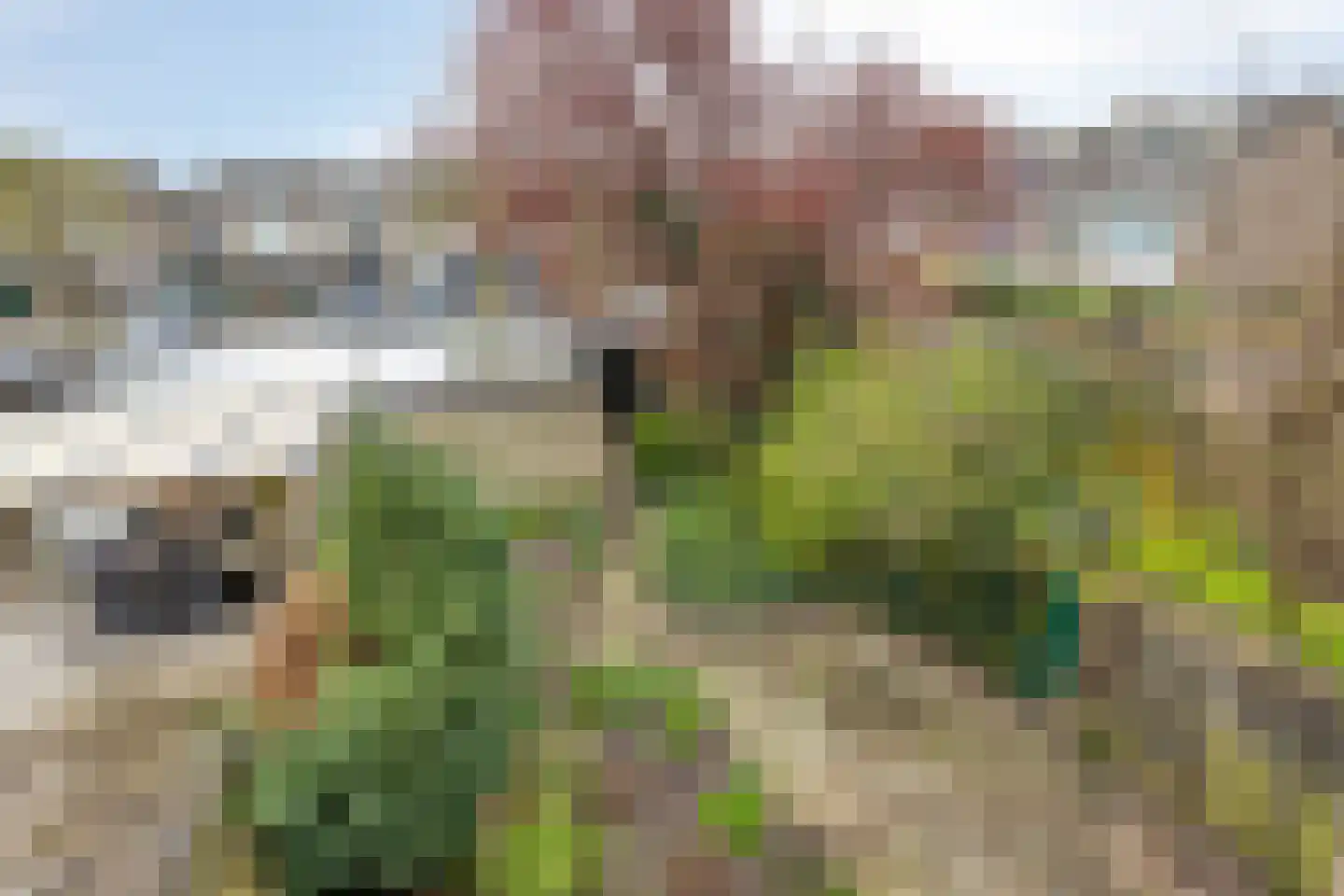 Sleggeplantsoen 58 Arnhem thumbnail 26