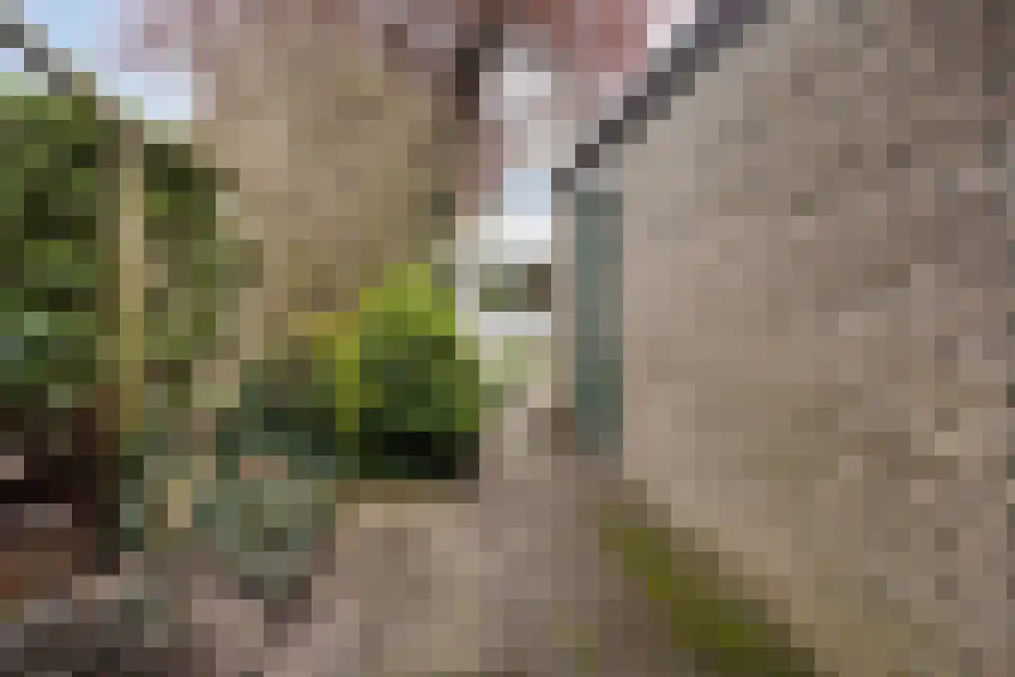 Sleggeplantsoen 58 Arnhem thumbnail 36