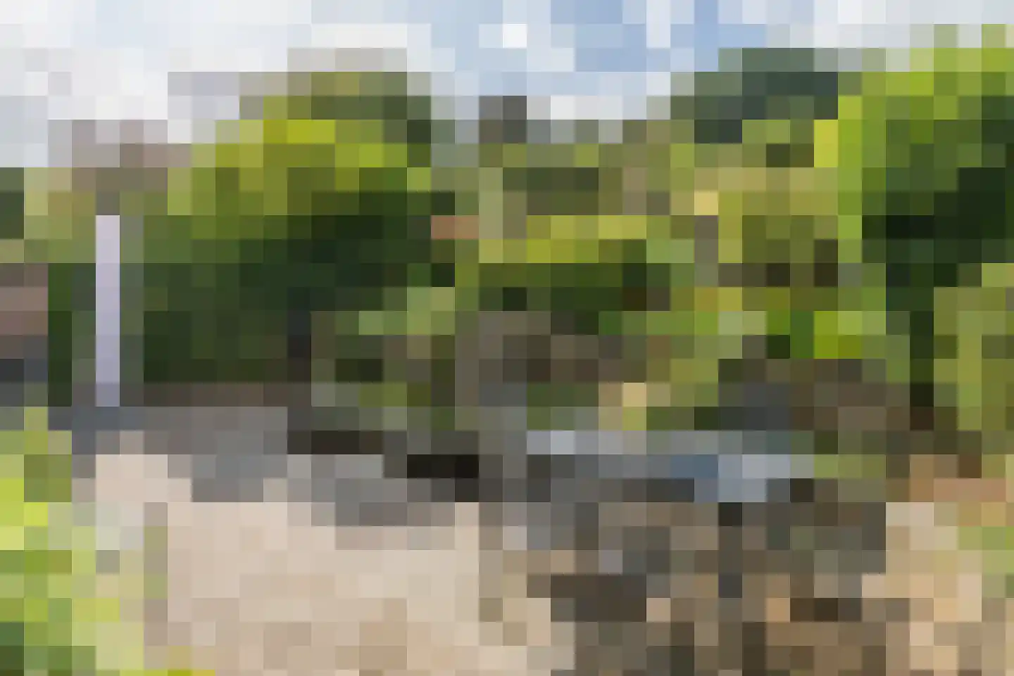 Sleijerweg 14 Sweikhuizen thumbnail 24