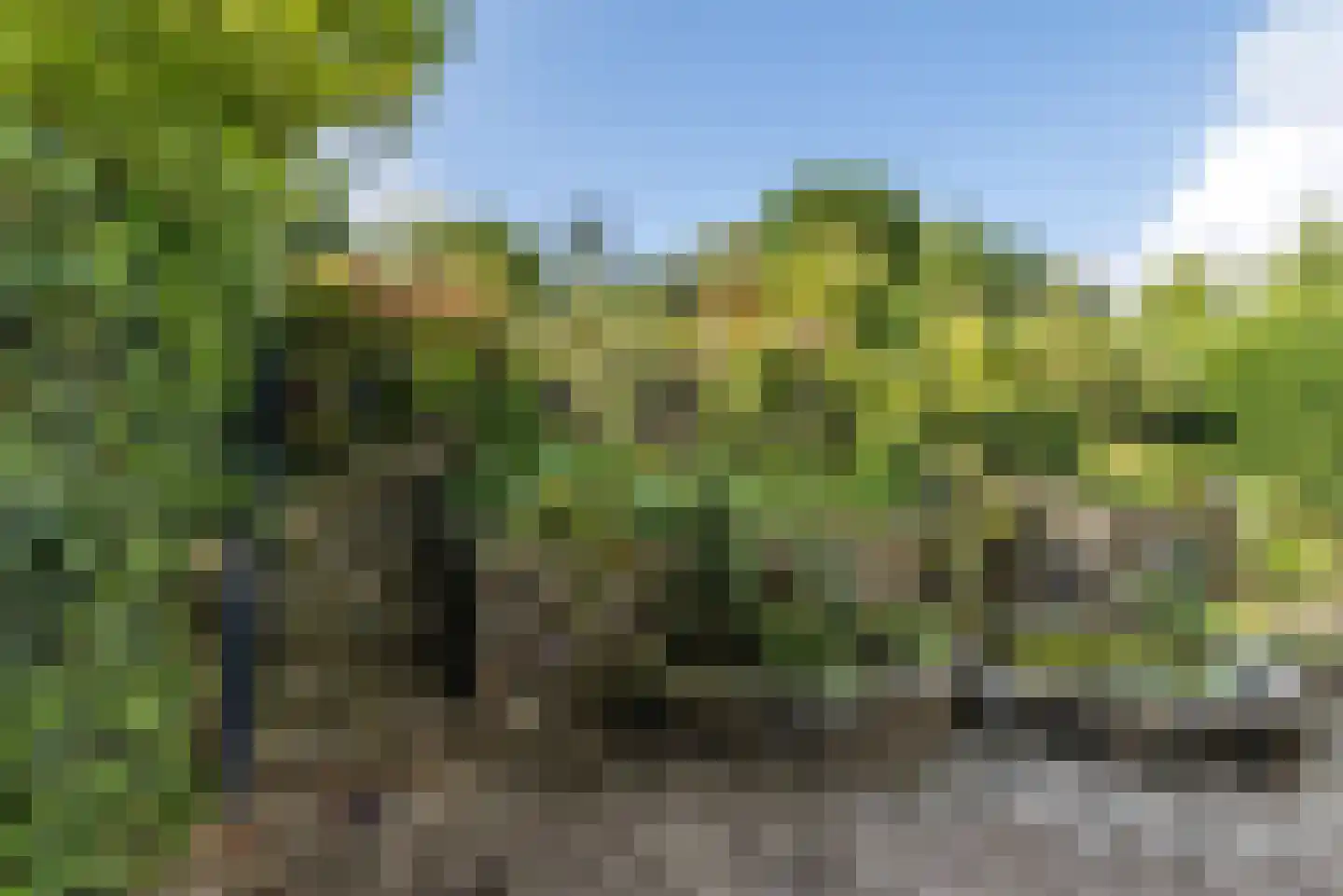 Sleijerweg 14 Sweikhuizen thumbnail 26