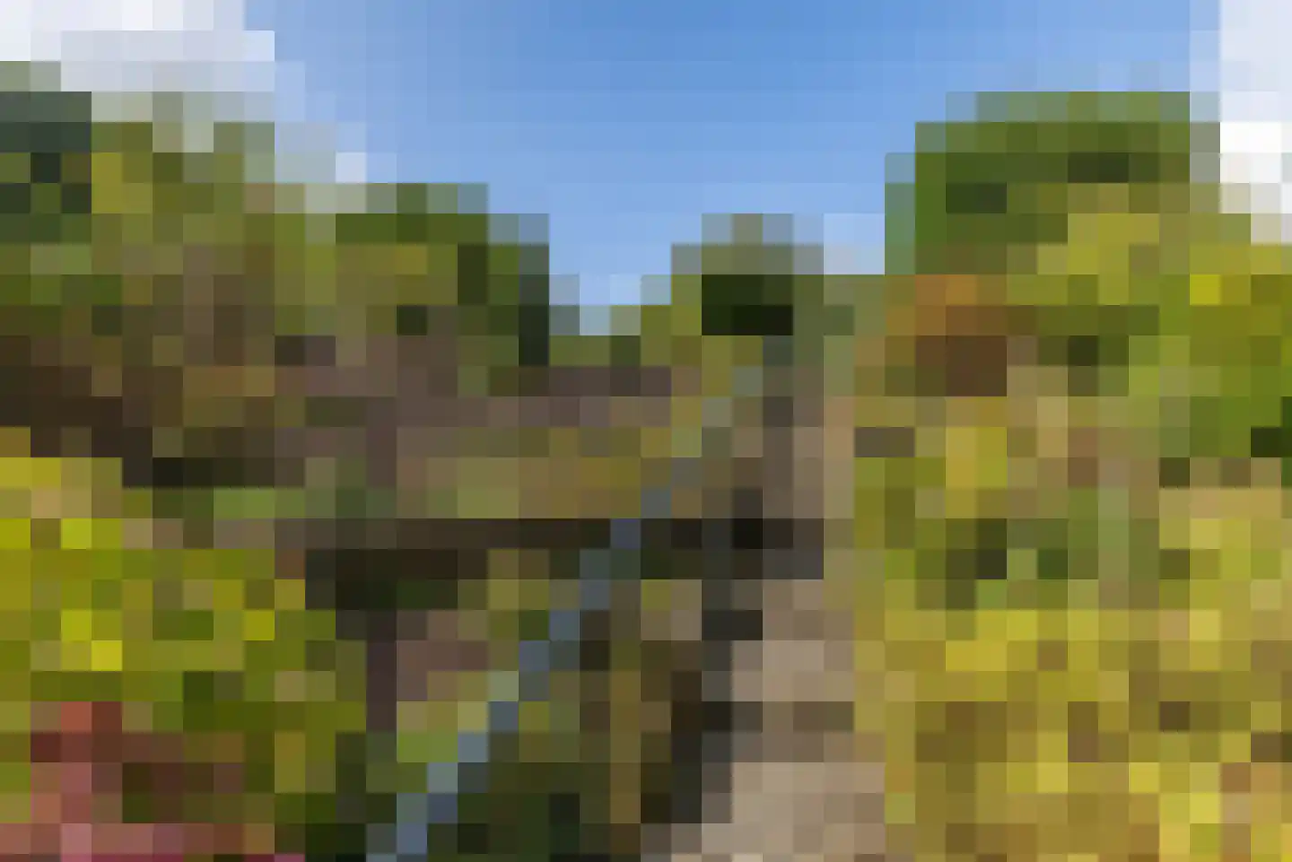 Sleijerweg 14 Sweikhuizen thumbnail 27
