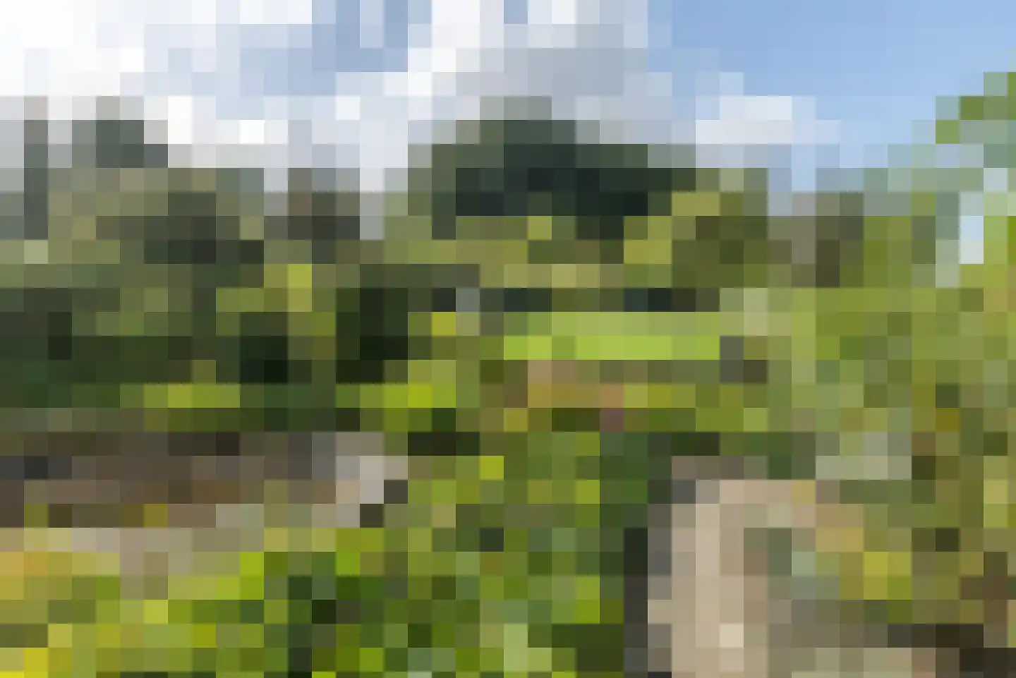 Sleijerweg 14 Sweikhuizen thumbnail 28