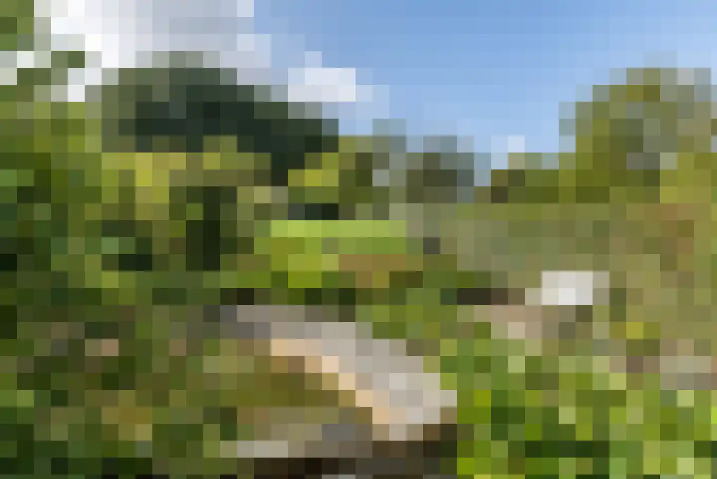 Sleijerweg 14 Sweikhuizen thumbnail 29