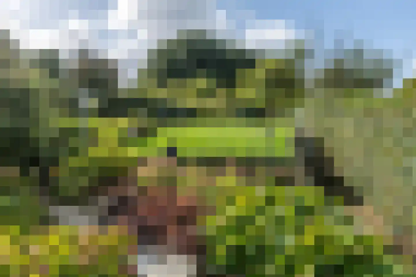 Sleijerweg 14 Sweikhuizen thumbnail 30