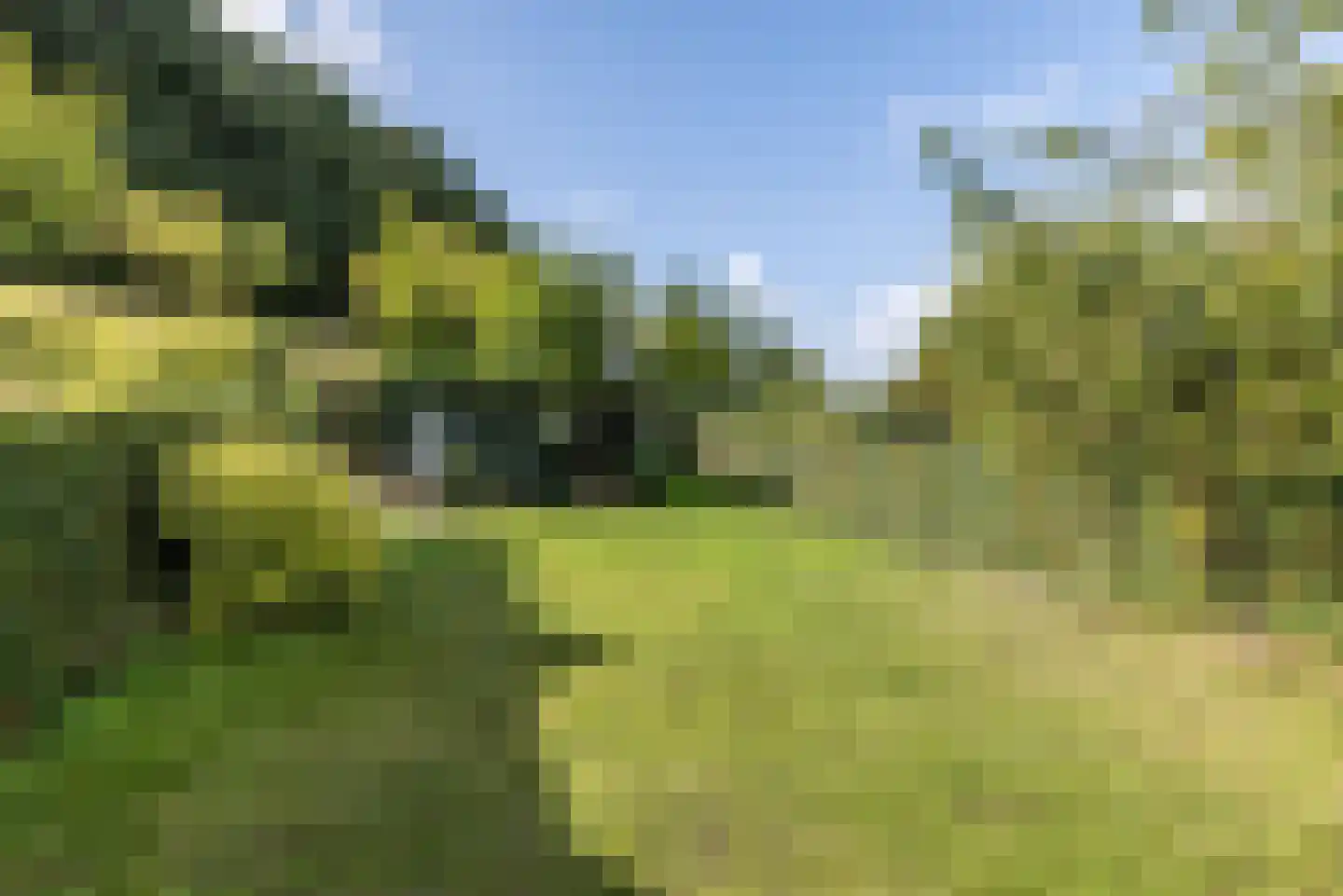 Sleijerweg 14 Sweikhuizen thumbnail 31