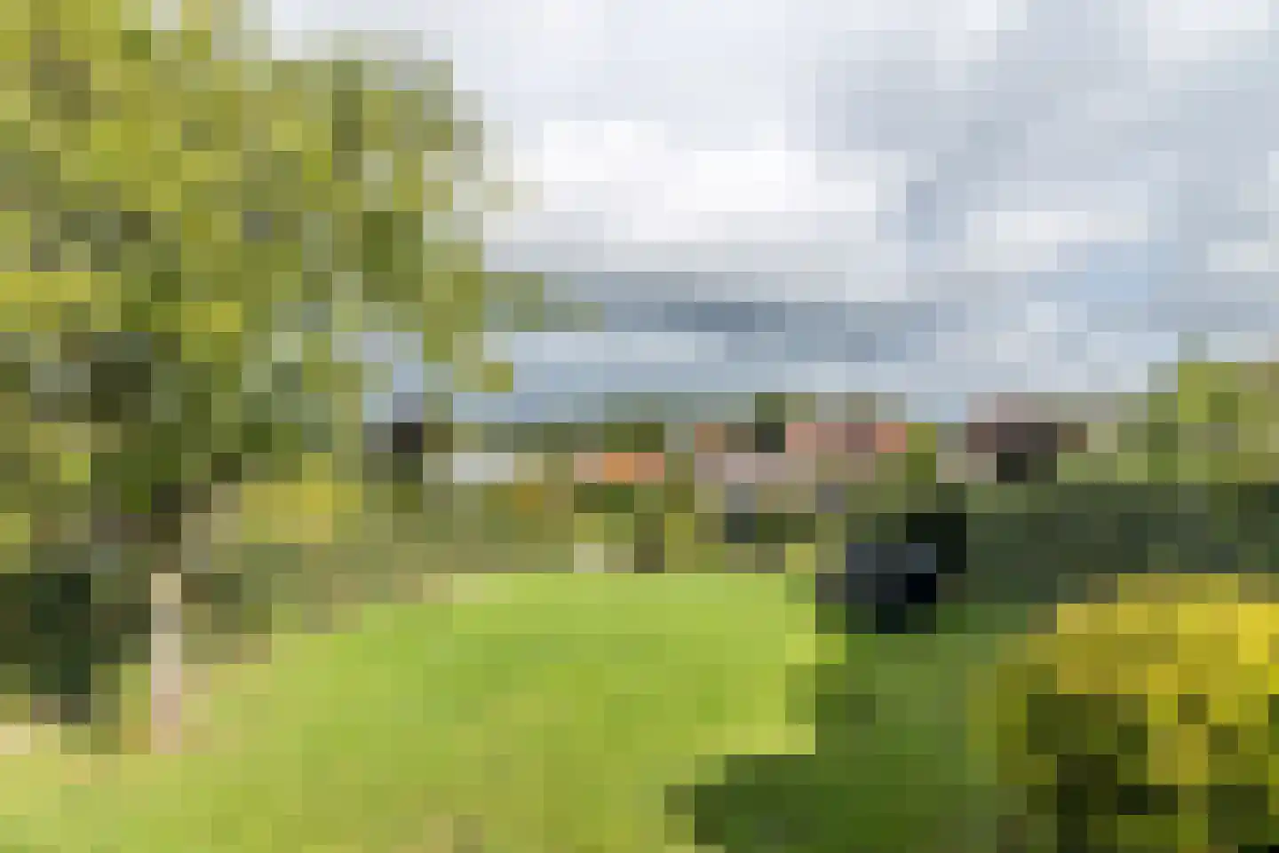 Sleijerweg 14 Sweikhuizen thumbnail 32