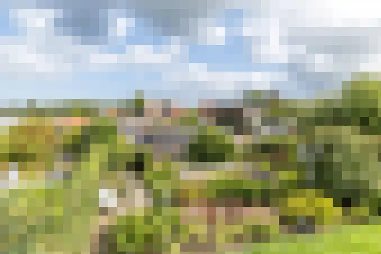 Sleijerweg 14 Sweikhuizen thumbnail 4