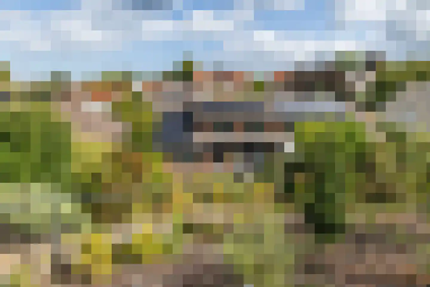 Sleijerweg 14 Sweikhuizen thumbnail 53