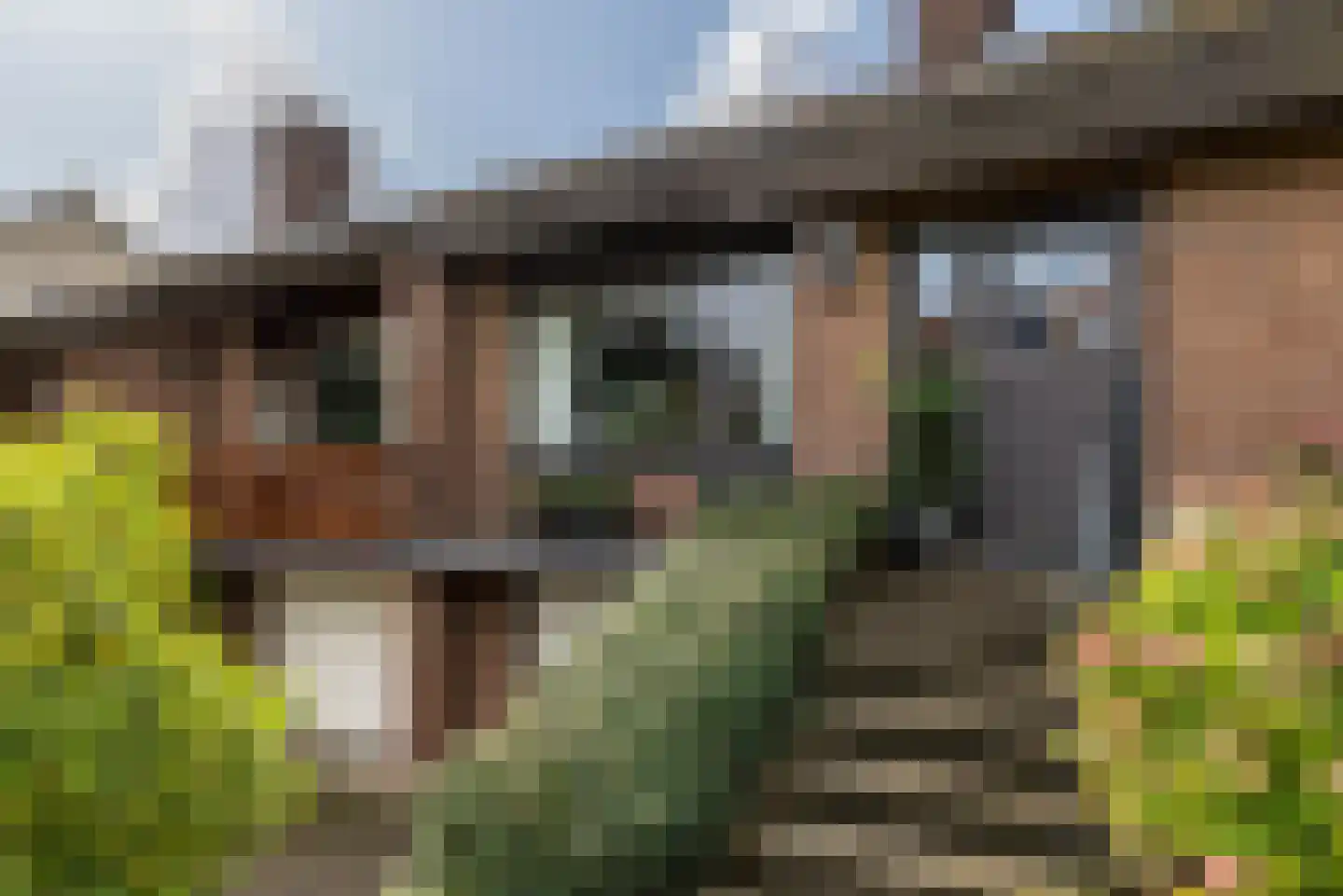 Sleijerweg 14 Sweikhuizen thumbnail 6