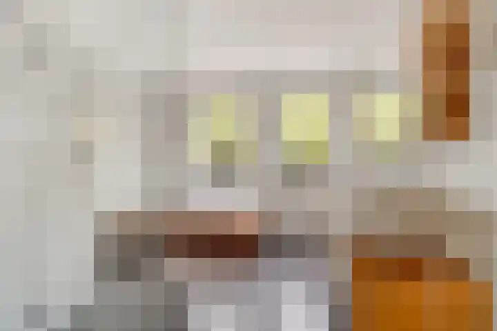 Slekkerstraat 17 A Echt thumbnail 25