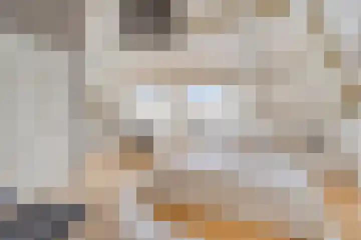 Slekkerstraat 17 A Echt thumbnail 37