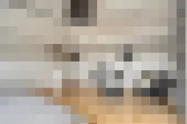 Slekkerstraat 17 A Echt thumbnail 38