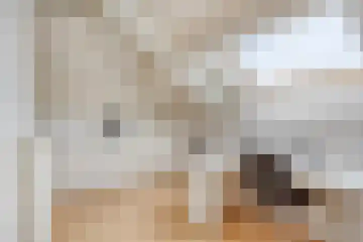 Slekkerstraat 17 A Echt thumbnail 39
