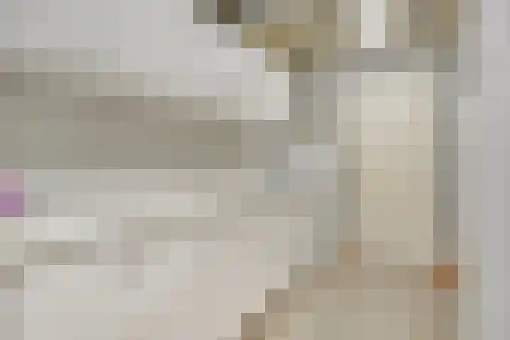 Slekkerstraat 17 A Echt thumbnail 41