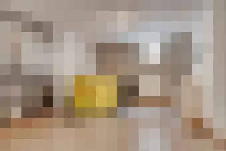 Slekkerstraat 17 A Echt thumbnail 46