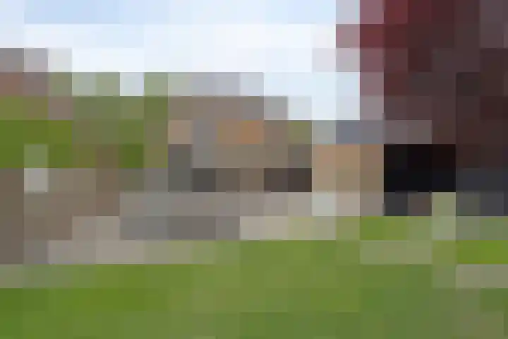 Slekkerstraat 17 A Echt thumbnail 55