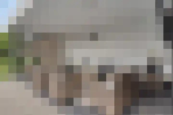 Slekkerstraat 17 A Echt thumbnail 56