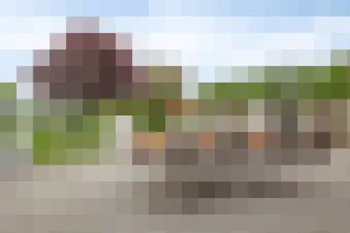 Slekkerstraat 17 A Echt thumbnail 59