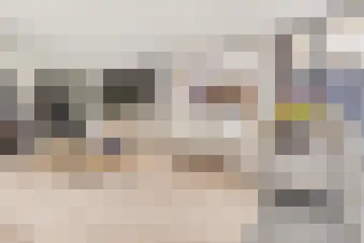 Slekkerstraat 17 A Echt thumbnail 6
