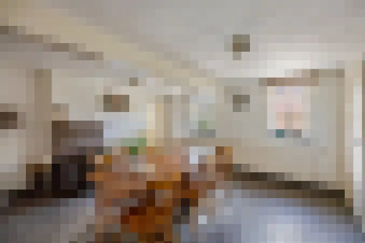 Slekkerstraat 42 Echt thumbnail 17