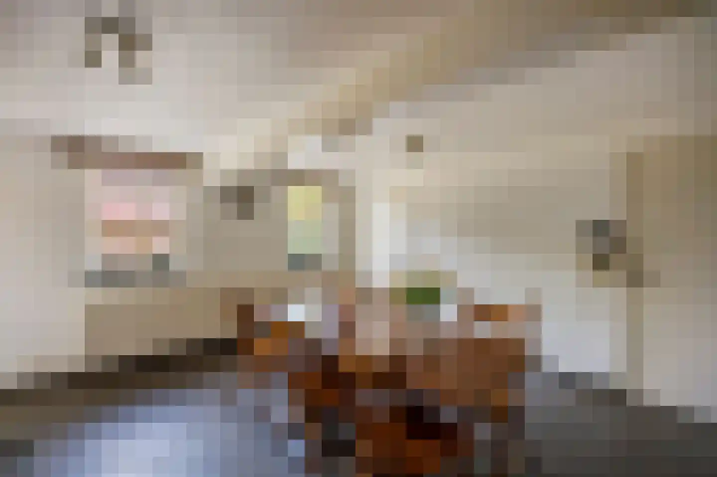 Slekkerstraat 42 Echt thumbnail 18