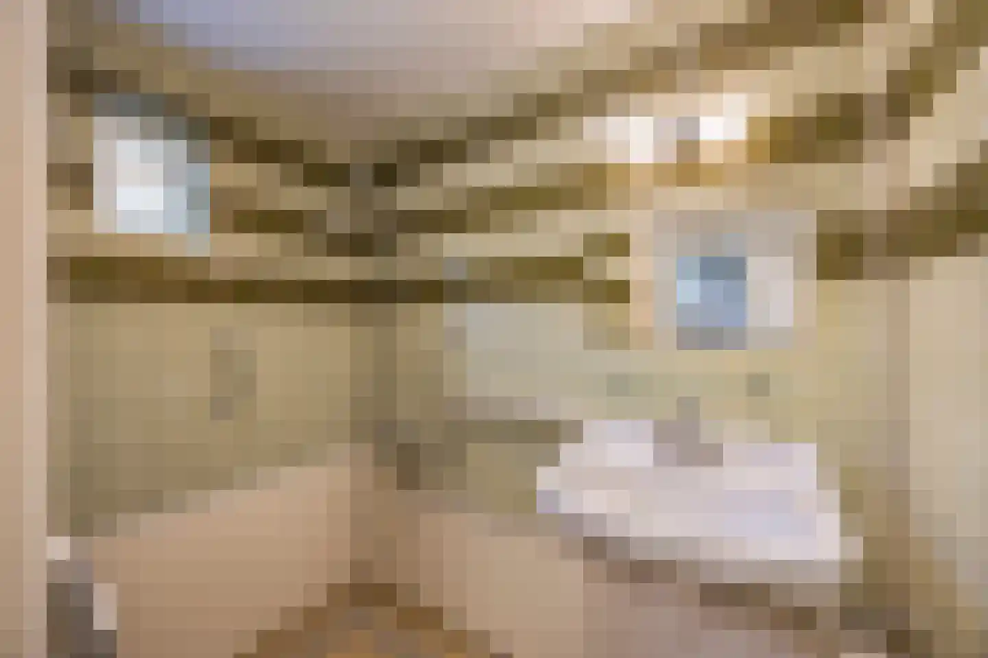 Slekkerstraat 42 Echt thumbnail 25