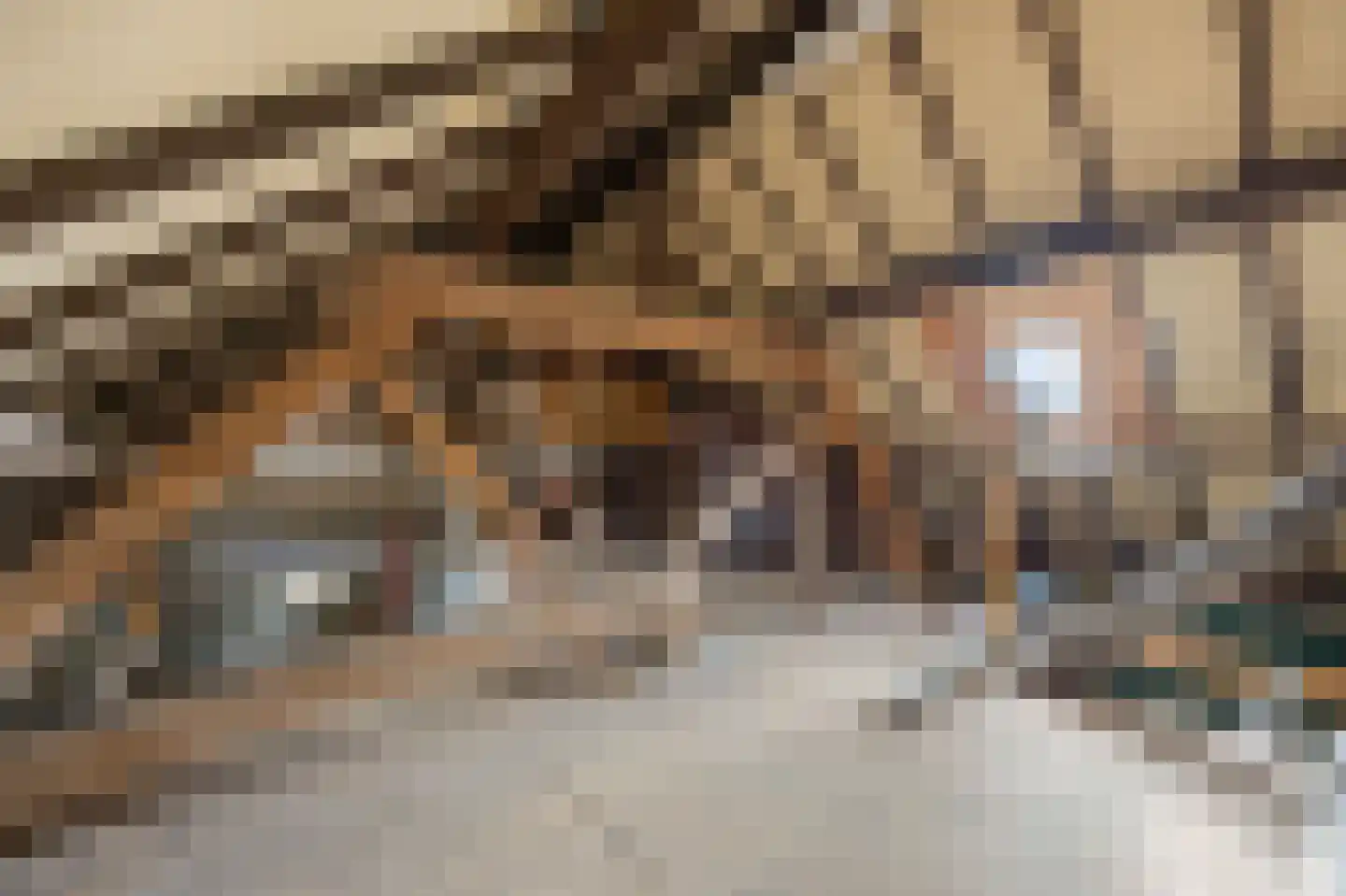 Slekkerstraat 42 Echt thumbnail 36